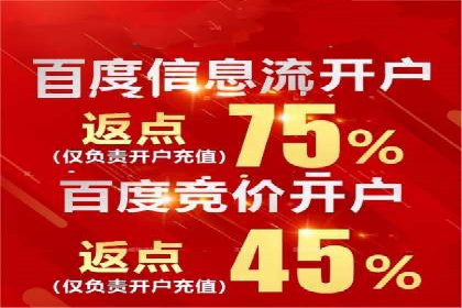 百度SEO推广策略解析：某知名企业的成功经验
